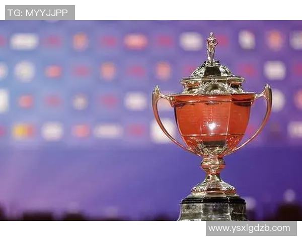 南京羽毛球队杯赛战术分析与表现评估探讨